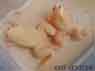 Couple albinos